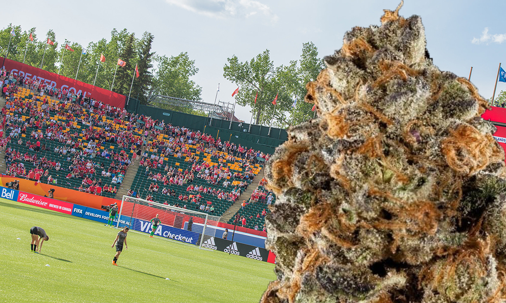 stadium-cannabis-company-name-sponsorship-feature